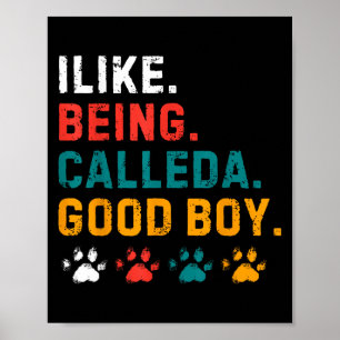 I Like Being Called A Good Boy Dog Pet Puppy Paren Poster
