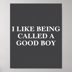 I Like Being Called A Good Boy Funny Quote  Poster
