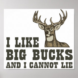 I Like Big Bucks And I Cannot Lie Poster