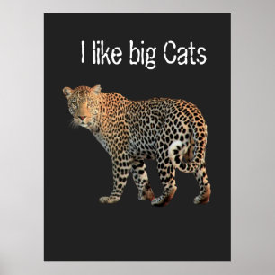 I like big Cats Leopard design to customise Poster