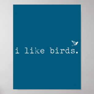 I Like Birds Funny Minimalist Birdwatching Introve Poster