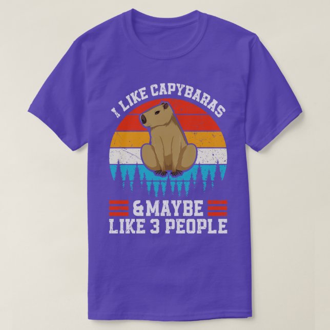 I Like Capybaras and Maybe 3 People Rodent Capibar T-Shirt (Design Front)