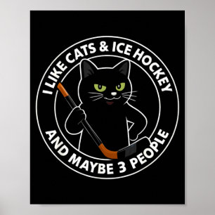 I Like Cats Ice Hockey And Maybe 3 People 1 Poster