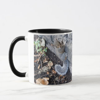 I Like Gray Squirrels Mug