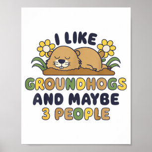I Like Groundhogs And Maybe 3 People Funny Groundh Poster