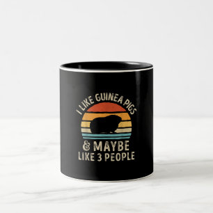 I Like Guinea Pigs And Maybe 3 People Funny Two-Tone Coffee Mug