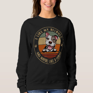 I Like Pitbull Dog And Maybe Like 3 People Dogs  2 Sweatshirt