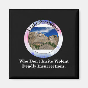 I Like Presidents Who Dont Incite Insurrections _1 Magnet