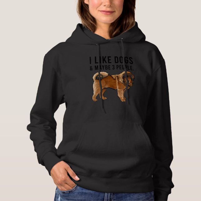 I Like Tibetan Mastiff Dogs And Maybe 3 People Hoodie (Front)