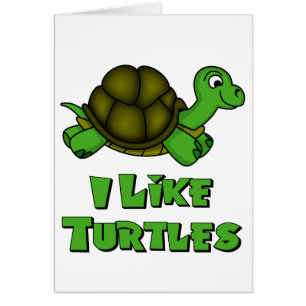 I Like Turtles