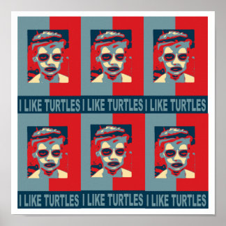 I Like Turtles Poster. Poster