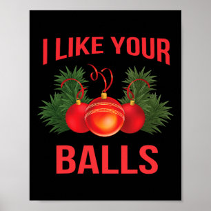 I Like Your Funny Cricket Christmas Gift Shirt Poster