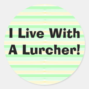 I Live With A Lurcher Sticker