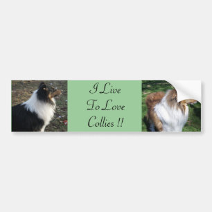 I LiveTo LoveCollies !! Bumper Sticker