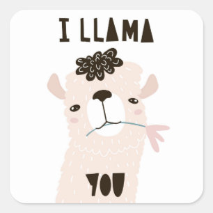 I Llama You Square Sticker