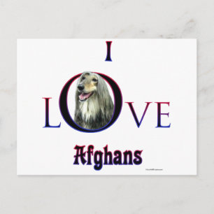 I love Afghan Hounds; Afghan Love; Love my Afghan Postcard