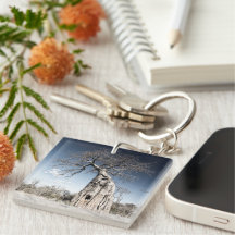 I love Africa Baobab Tree photo