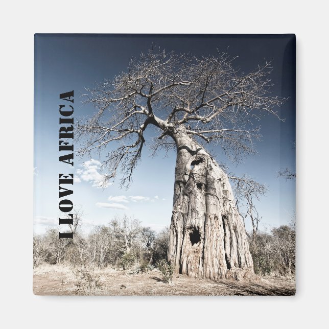 I love Africa Baobab Tree photo Magnet (Front)