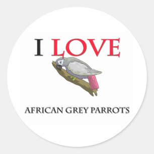 I Love African Grey Parrots Classic Round Sticker