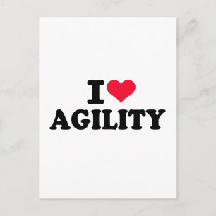 I love agility postcard
