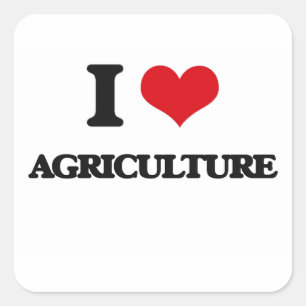 I Love Agriculture Square Sticker