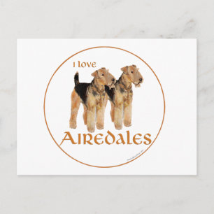 I Love Airedales Postcard