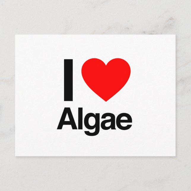 i love algae postcard (Front)