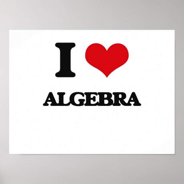 I Love Algebra Poster (Front)