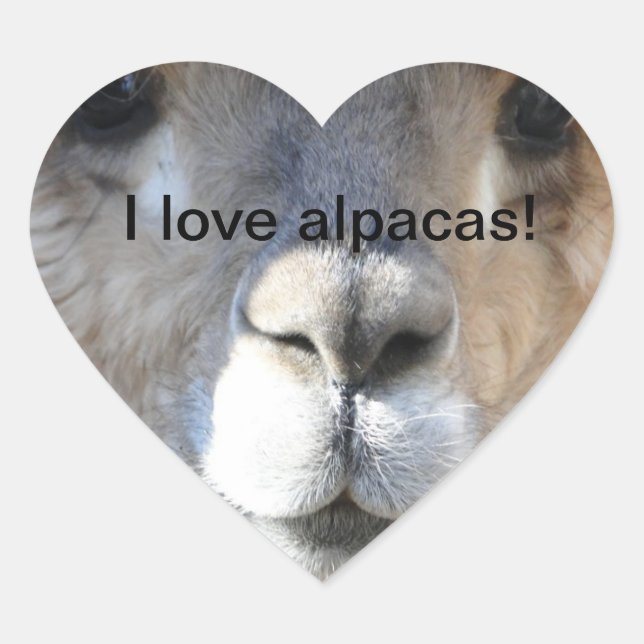 I love alpacas! heart sticker (Front)