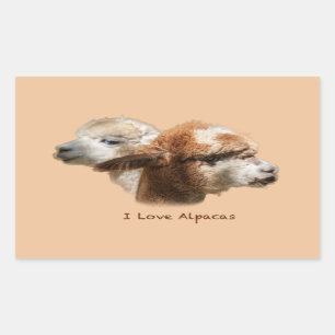 I love Alpacas Rectangle Stickers