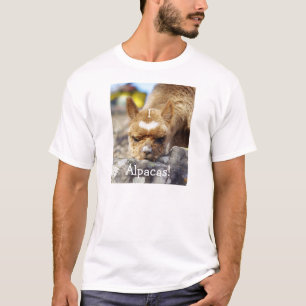 I Love Alpacas T-Shirt