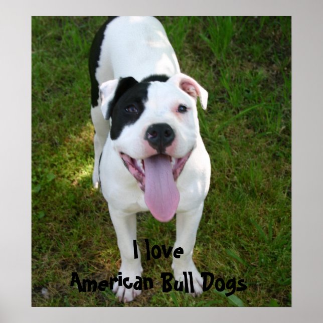 I Love American Bull Dogs Poster (Front)