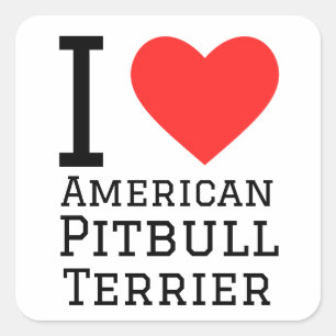 I love American pitbull terrier Square Sticker