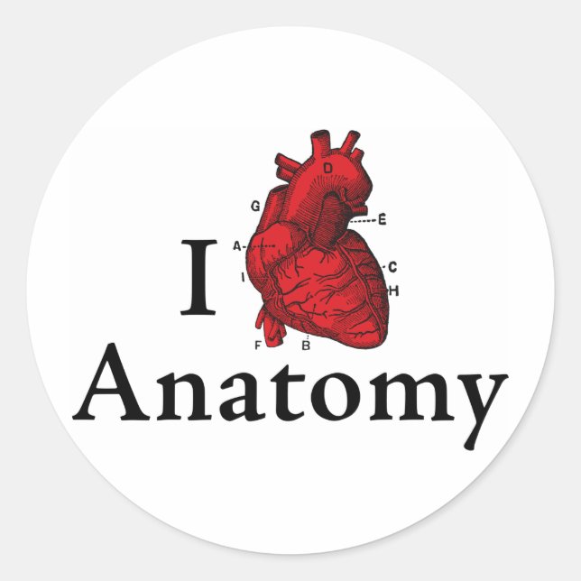 I love anatomy classic round sticker (Front)