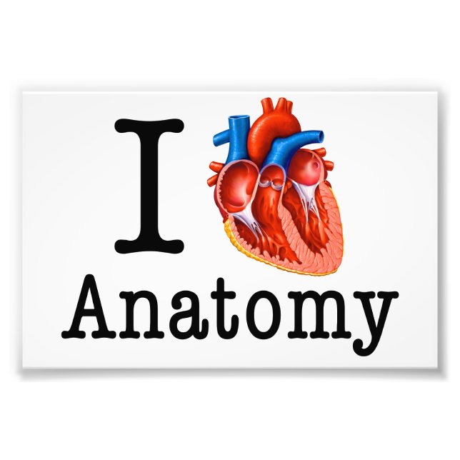 I love Anatomy Photo Print (Front)
