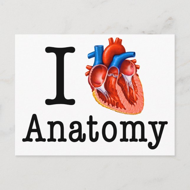 I love Anatomy Postcard (Front)