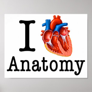 I love Anatomy Poster