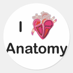 I Love Anatomy with human heart! Classic Round Sticker
