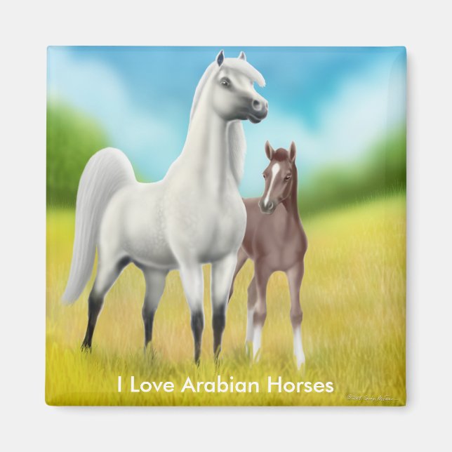 I Love Arabian Horses Magnet (Front)