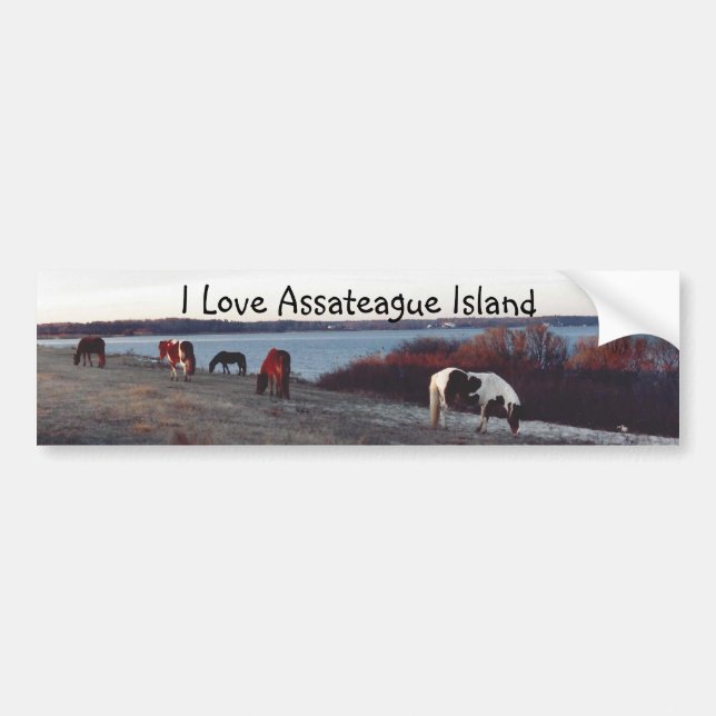 I Love Assateague Island - Bumper sticker (Front)