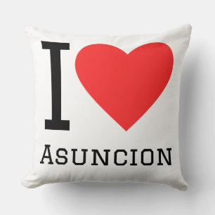 I love Asunción Cushion