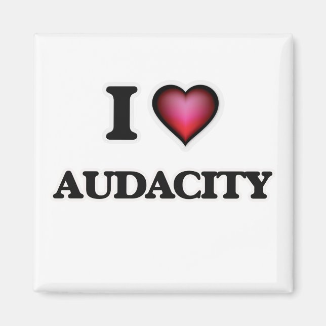 I Love Audacity Magnet (Front)