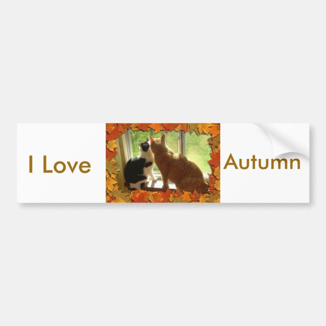 I love Autumn Bumper Sticker (Front)