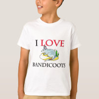 I Love Bandicoots