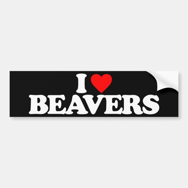 I LOVE BEAVERS BUMPER STICKER (Front)