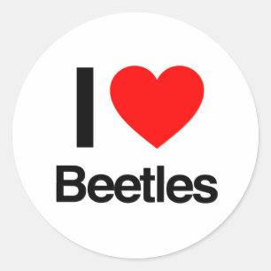 i love beetles classic round sticker