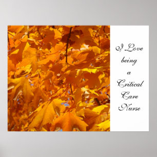 I Love being a Critical Care Nurse art prints