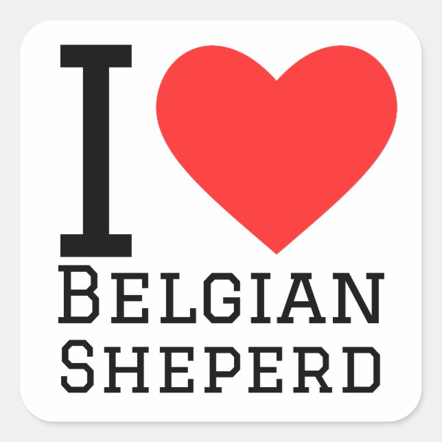 I love Belgian shepherd  Square Sticker (Front)