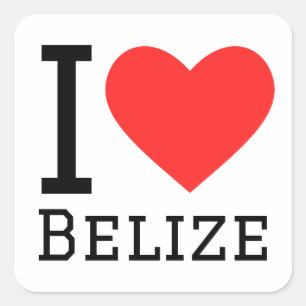 I love belise square sticker