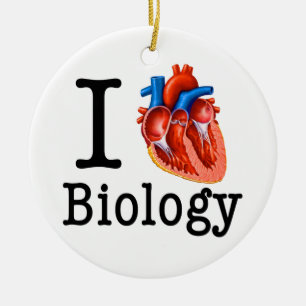 I Love Biology Ceramic Tree Decoration